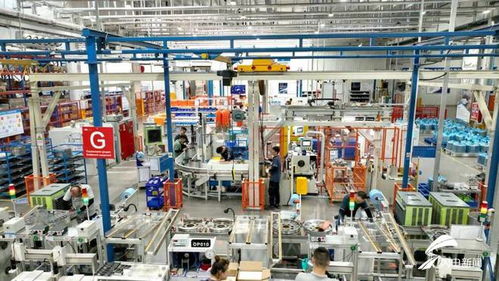 濰坊綜合保稅區 以設備更新和技術交流為抓手，全力賦能企業創新發展